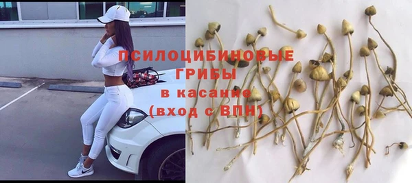 гидра Верхнеуральск