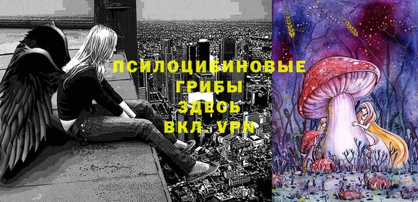 гидра Верхнеуральск